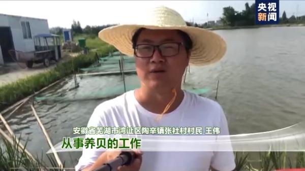 走進鄉村看小康丨這些貝類不是用來吃的？寶“貝”：我是村裡的清道夫