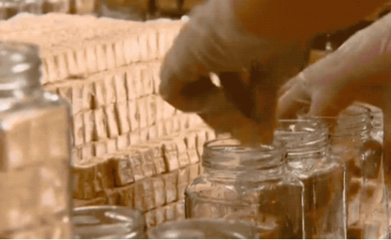 1塊腐乳有12克鹽，心腦血管病不能吃？還會致癌？不敢吃的看看