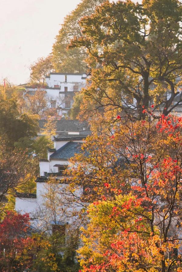 有一種心動，叫黟縣的四季