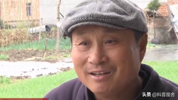 2017年，劉林進城務工，家裡妻子竟拋下2個女兒，偷偷與別人生娃