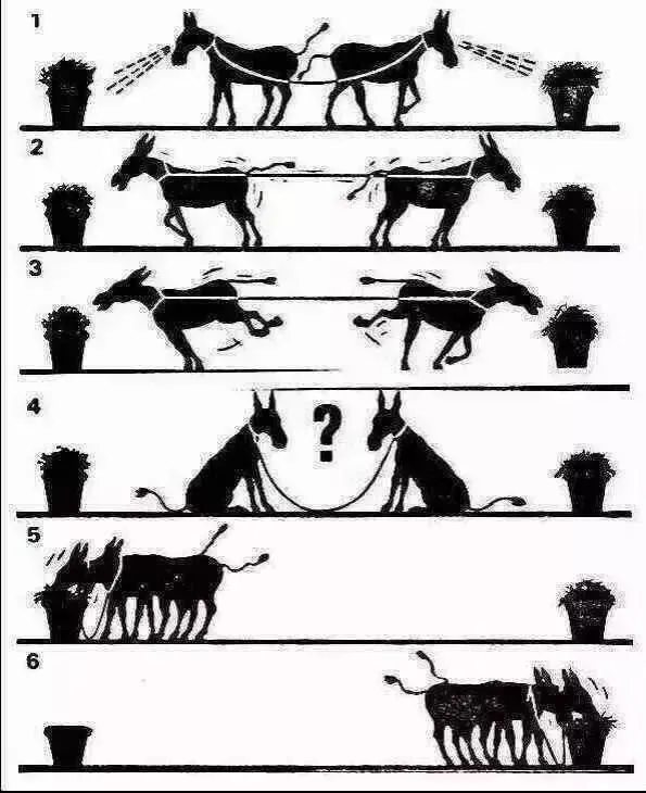 12張漫畫，拆穿生活真相