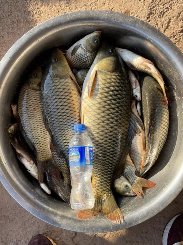 元宵節大戰阿墨江，與巨鯉博手一戰