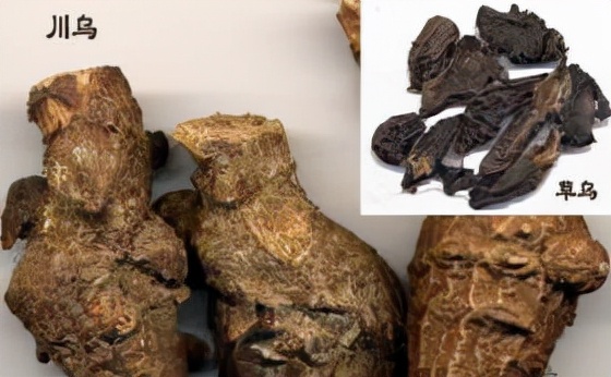 坐骨神經痛：下腰痠脹，牽及大腿左側疼，陰天加劇，擬烏頭湯加減