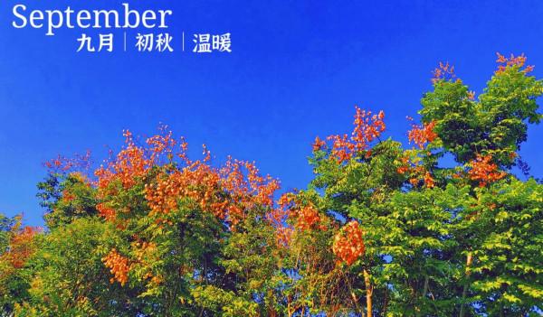 散文欣賞:八月中秋節,月圓餅兒甜 散文欣賞:八月中秋節,月圓餅兒甜