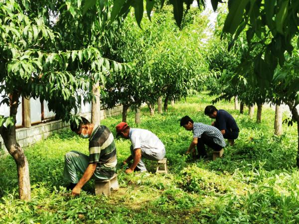 北京最大的一塊地熱田原來在這裡! 北京最大的一塊地熱田原來在這裡!