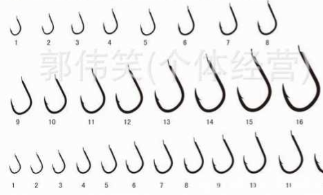 談談垂釣初學者怎樣選裝備