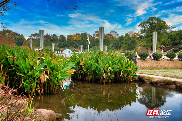 在衡陽這座公園裡，我遇到古典美學與現代藝術的碰撞與融合