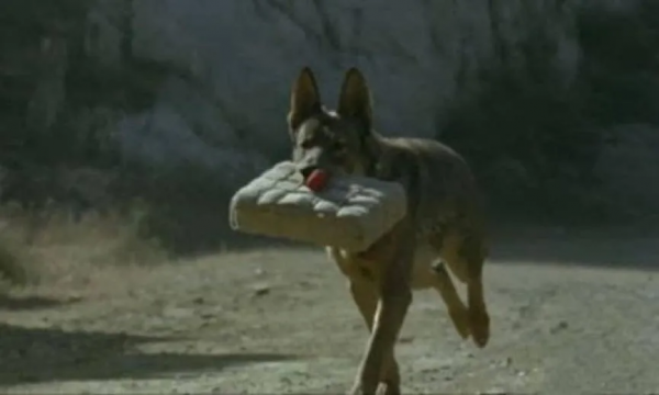 於正,你不要臉的樣子,真噁心 於正,你不要臉的樣子,真噁心