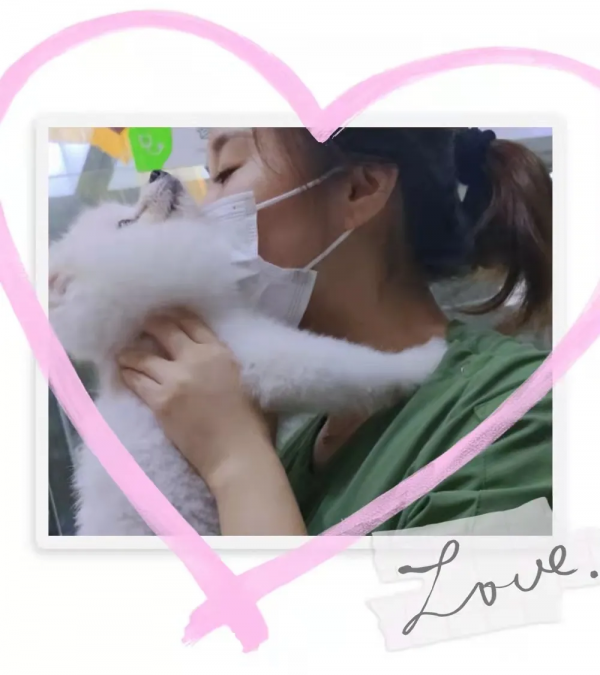 當博美去醫院時，TA在想什麼？