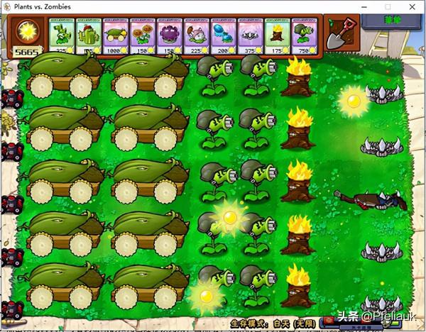 植物大戰殭屍電腦版修改器 附使用教程