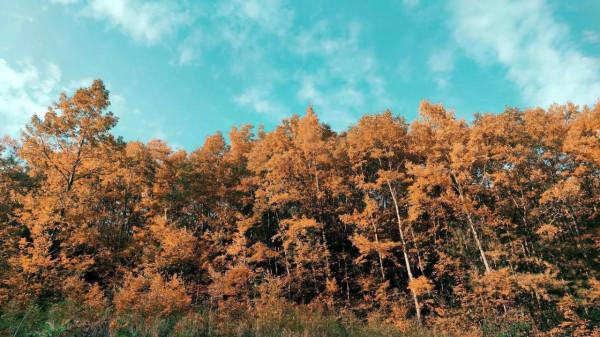 現代“簡·愛”的幸福生活,愛情需要互相溫暖 現代“簡·愛”的幸福生活,愛情需要互相溫暖