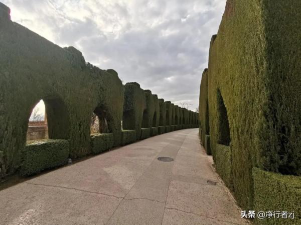 冬日暖陽拔“牙”記（八）格拉納達：一千零一夜夢幻之城（上）