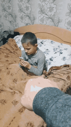 88個難得一見的照片，大象岩石，被章魚攻擊的海豚，飛行員眼鏡