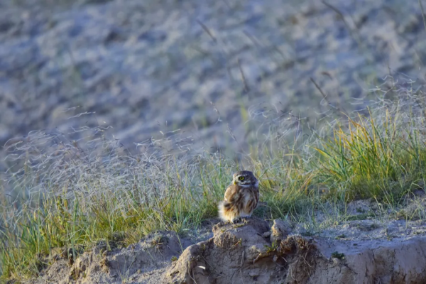 中國面積最大的國家公園,這片“人類禁區”終於限時開放了 中國面積最大的國家公園,這片“人類禁區”終於限時開放了