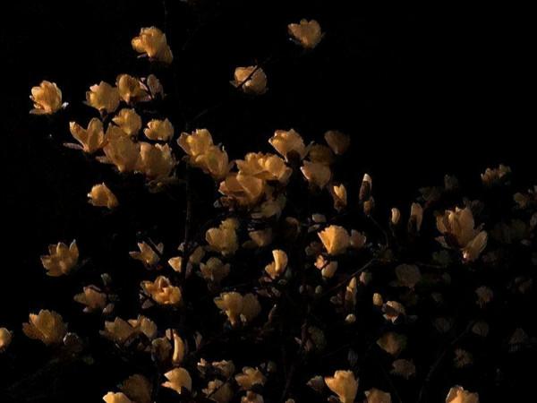 看似溫柔,實則內心很理性的星座,他們的邏輯很好,擅長以理服人 看似溫柔,實則內心很理性的星座,他們的邏輯很好,擅長以理服人