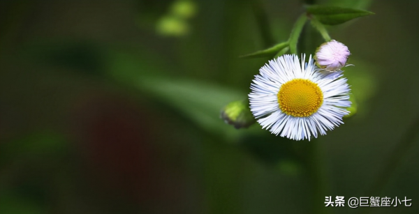 受委屈，被汙衊，不屑解釋的星座：清者自清，懂得人自然懂，夠拽