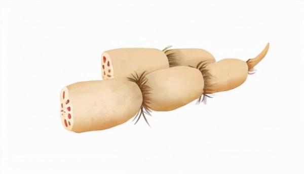 糯嘰嘰的桂花糖藕，在家用電飯煲輕鬆秒上手