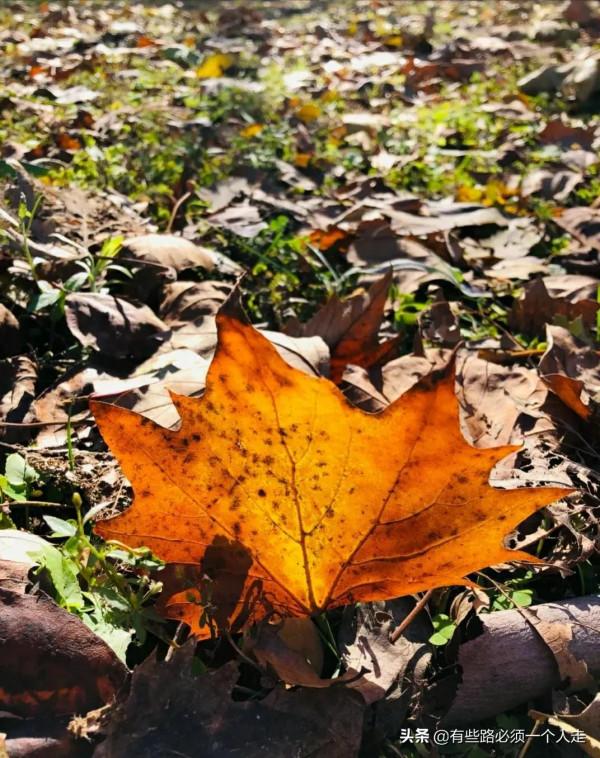 慢慢明白了，其實很多事情都是要靠自己努力