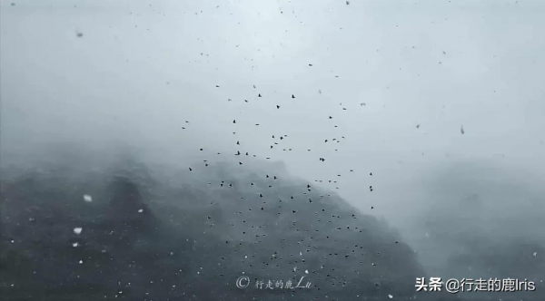 女生SOLO雨崩村：據說只有萬分之一的人見過這樣的雨崩