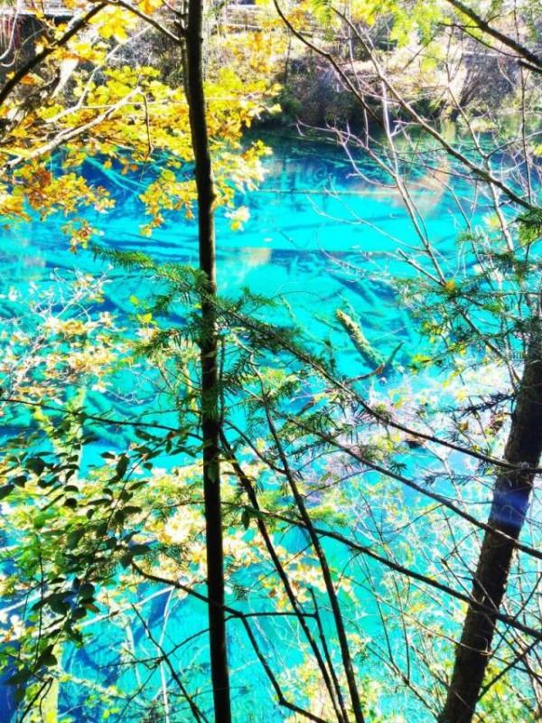 地震前的九寨溝 地震前的九寨溝