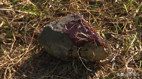 “天眼少女”堪稱童年陰影,TVB《法證先鋒3》根據真實案件改編 “天眼少女”堪稱童年陰影,TVB《法證先鋒3》根據真實案件改編