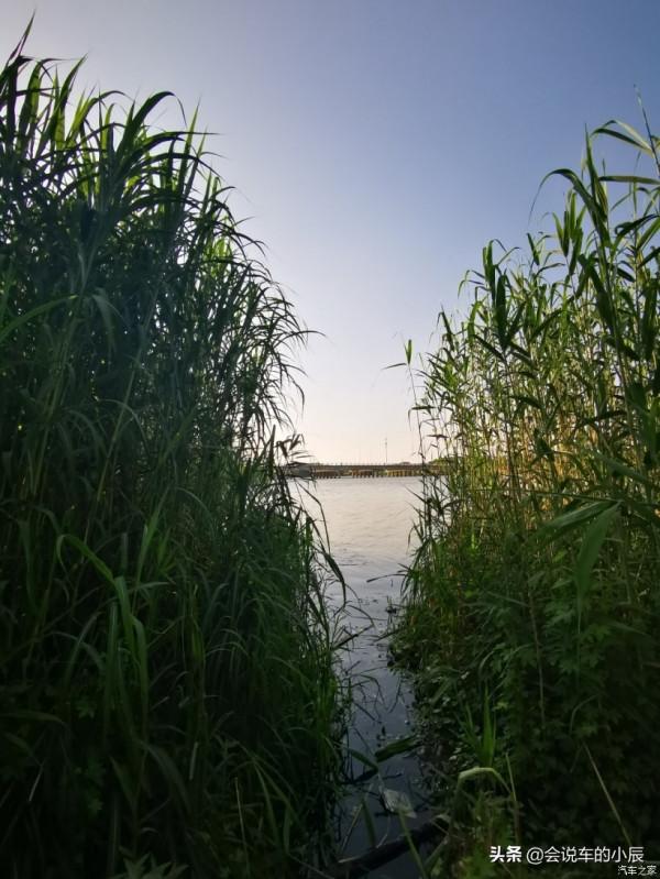 打卡無錫宛山蕩溼地公園，大唐也可以營造田園牧歌