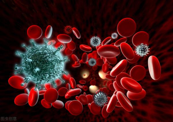 未來組織長什麼樣