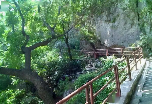 鷲峰公園自然環境優美，山勢陡峭，山峰林立，山石神形兼備