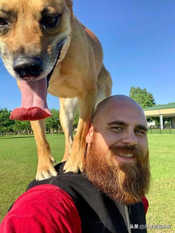 狗學貓樣,有些狗,養著養著就成了貓 狗學貓樣,有些狗,養著養著就成了貓