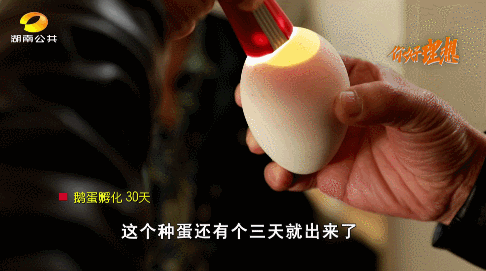 養1只鵝取3斤肝！湖南“鵝司令”養鵝賣鵝有妙招，年產值5000萬