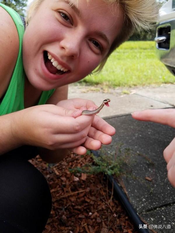 又想騙我養只萌寵：被惹毛的鱷魚，好凶