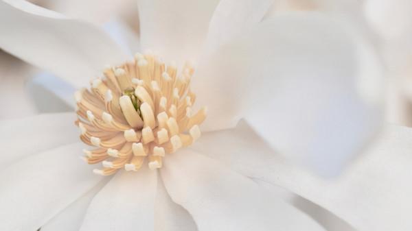 真的，不必為你的樣貌感到自卑