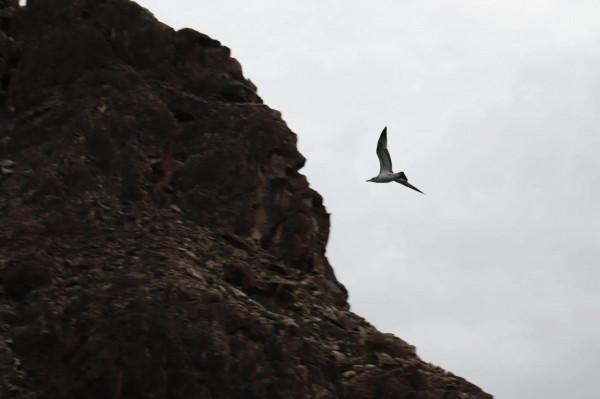 青海的快樂旅記（3）