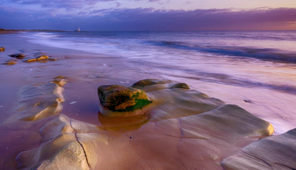前途遠大,特立獨行的星座,擅長於模仿,高瞻遠矚,也喜歡逞強 前途遠大,特立獨行的星座,擅長於模仿,高瞻遠矚,也喜歡逞強