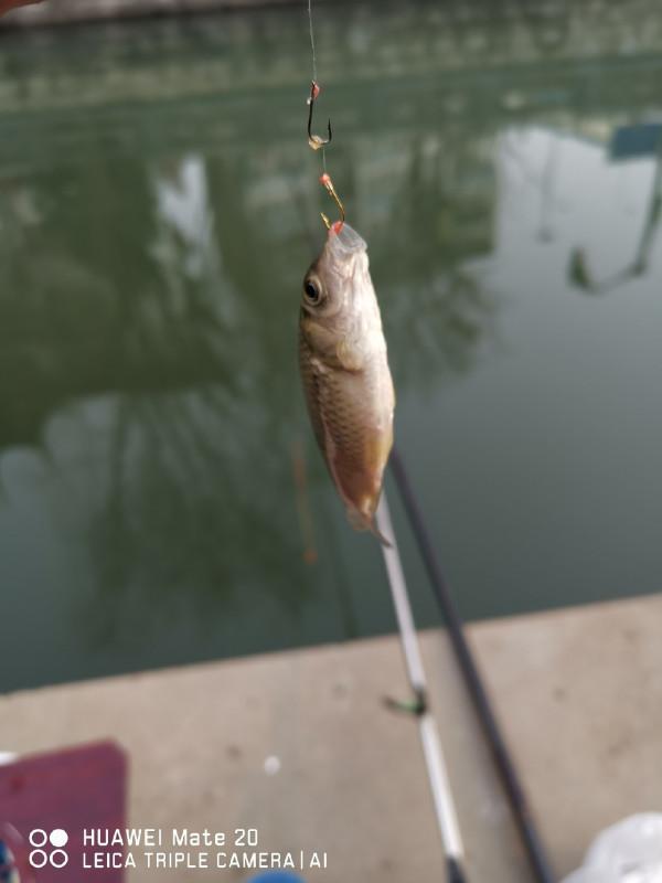 與小雜魚鬥智鬥勇,拼比毅力和耐性 與小雜魚鬥智鬥勇,拼比毅力和耐性