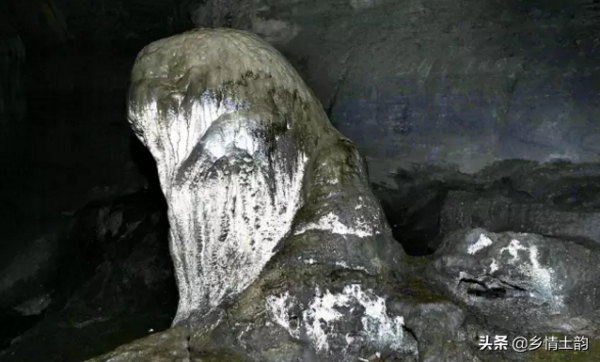 雲逛陝西：村志