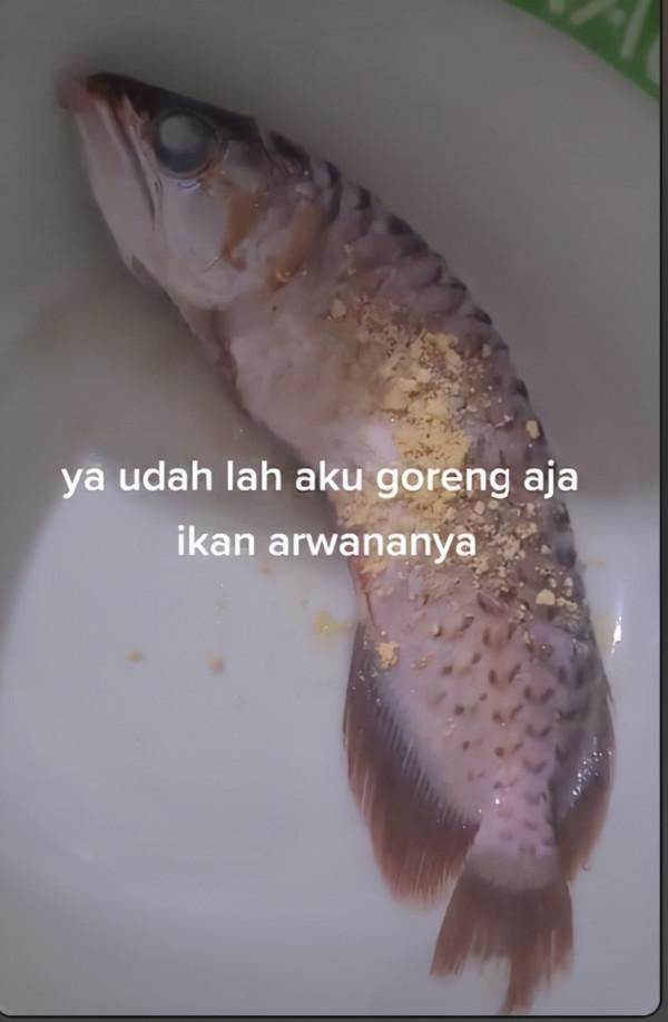 外國丈夫斥巨資買龍魚,卻甩手丟給妻子照料,妻子氣急把魚炸了 外國丈夫斥巨資買龍魚,卻甩手丟給妻子照料,妻子氣急把魚炸了