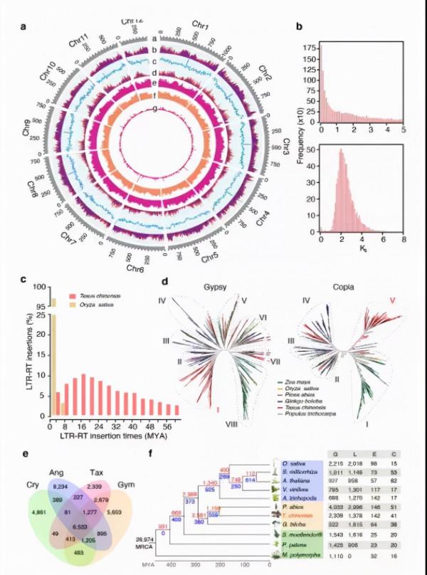 知耕快報｜世界最小農業AI機器人問世；藻類基因注入重塑視覺神經