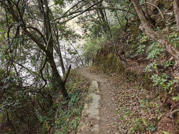 到野鴨湖徒步 到野鴨湖徒步