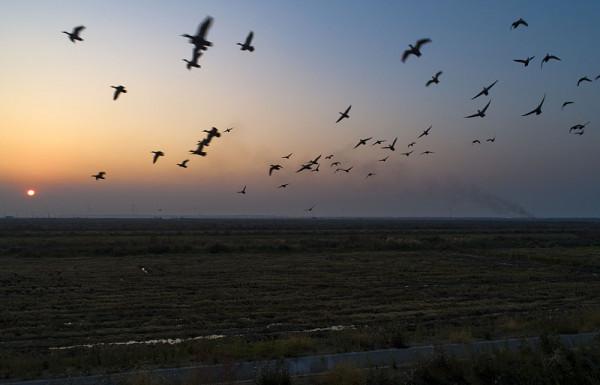 黑龍江小縣城,當年上萬山東人來“開荒”,如今留下的沒幾個 黑龍江小縣城,當年上萬山東人來“開荒”,如今留下的沒幾個