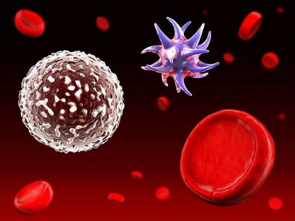 斷食2天可以“重啟”人體免疫系統，是真的嗎？不妨看看一項研究