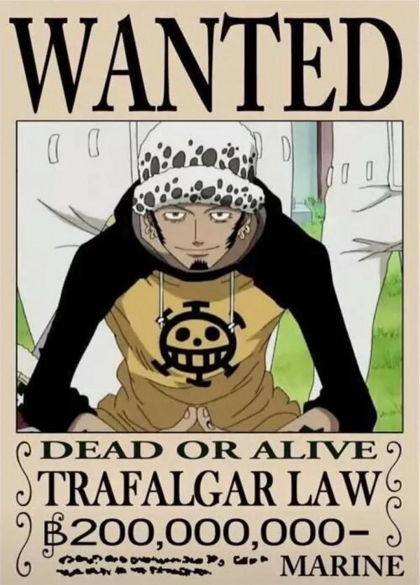 海賊王中的“D”之一族和“消失的一百年”