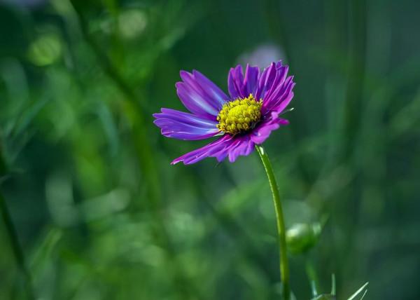 與人交往：別做這3件事，是大智慧