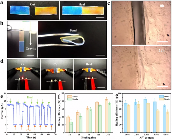 四川大學金勇教授課題組:高度仿生的多功能光電雙感測離子面板 四川大學金勇教授課題組:高度仿生的多功能光電雙感測離子面板