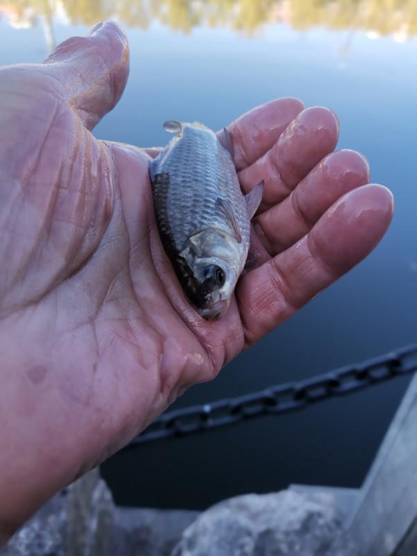 靈活多變才是漁獲的關鍵，大師的制勝法寶得好好學