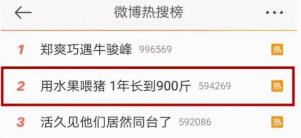 45歲男子不喝酒,尿酸仍高達510,只是他把水果當飯吃 45歲男子不喝酒,尿酸仍高達510,只是他把水果當飯吃