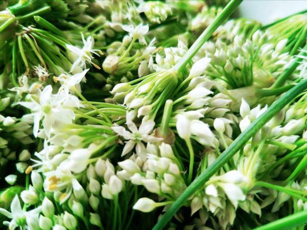 醃韭菜花，只加鹽不好吃！多放2種食材，鮮香味美，放一年不變質