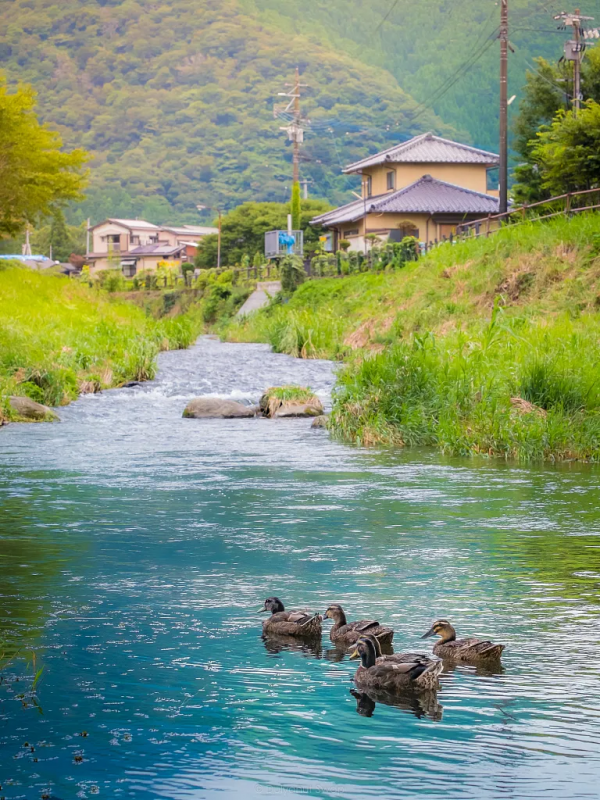 春天奢侈的十件小事