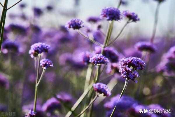 我們是沉穩深情的金牛座，請相信我們的努力終有回報