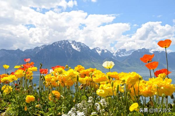 九首詩詞，願中年的你不再焦慮，坦然面對生活